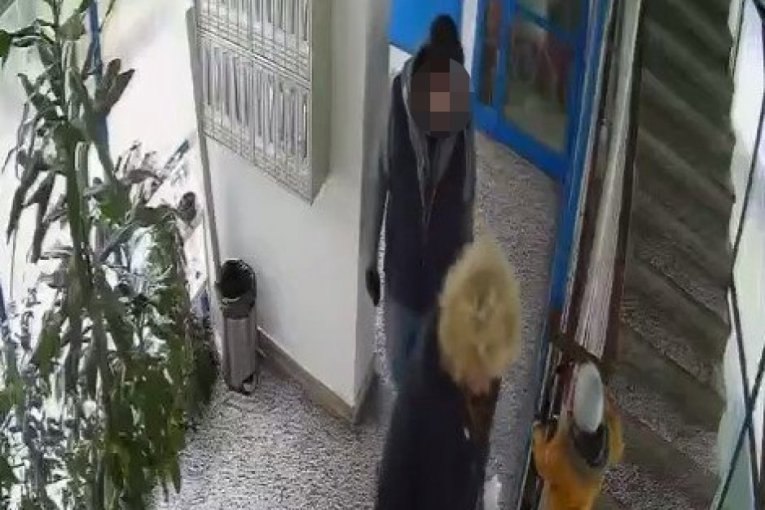 Republika/Printscreen