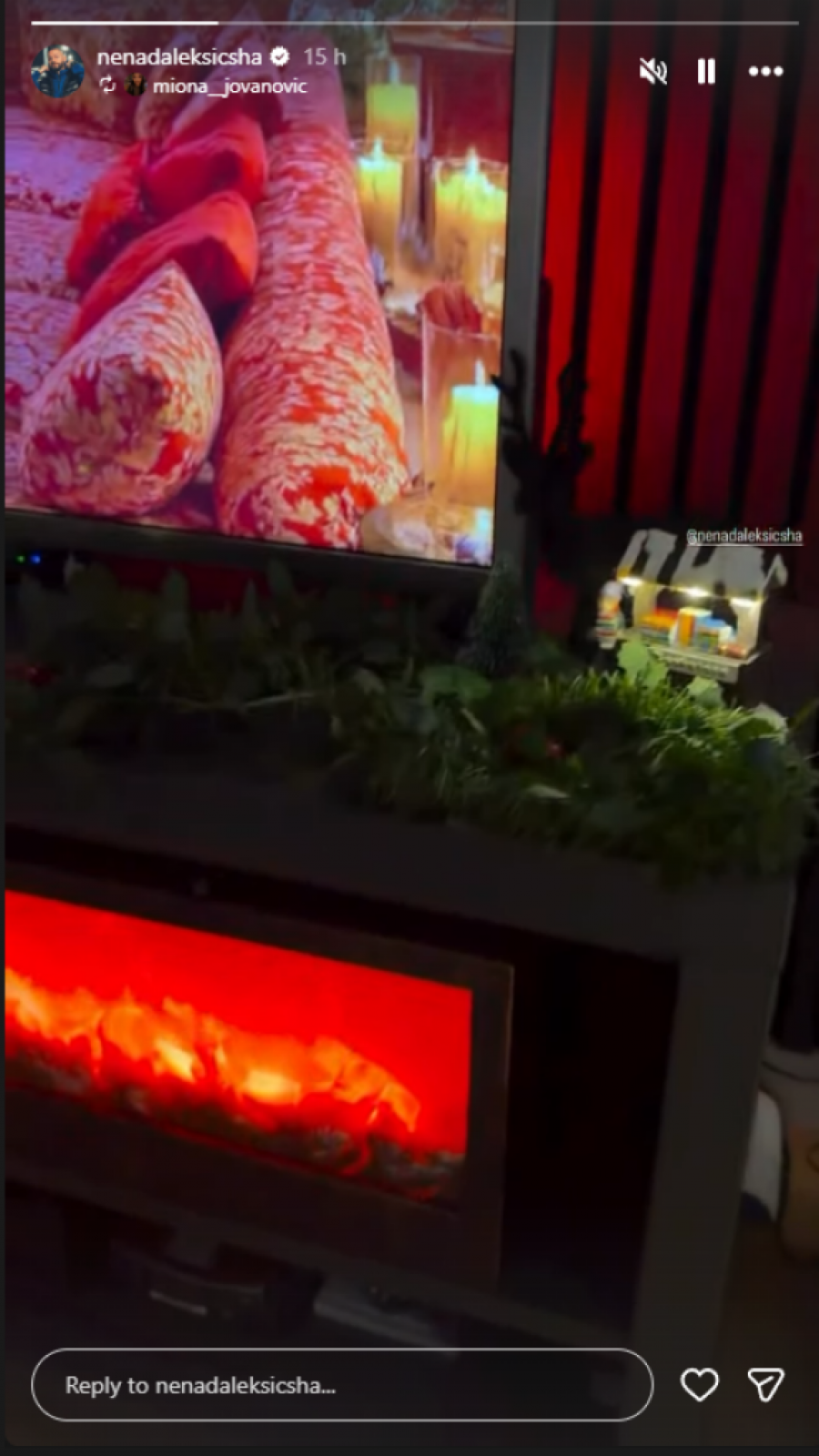 MIONA I ŠA OTVORILI VRATA PORODIČNOG DOMA: Pogledajte šta se dešava iza zidina u Zemunu! (FOTO)