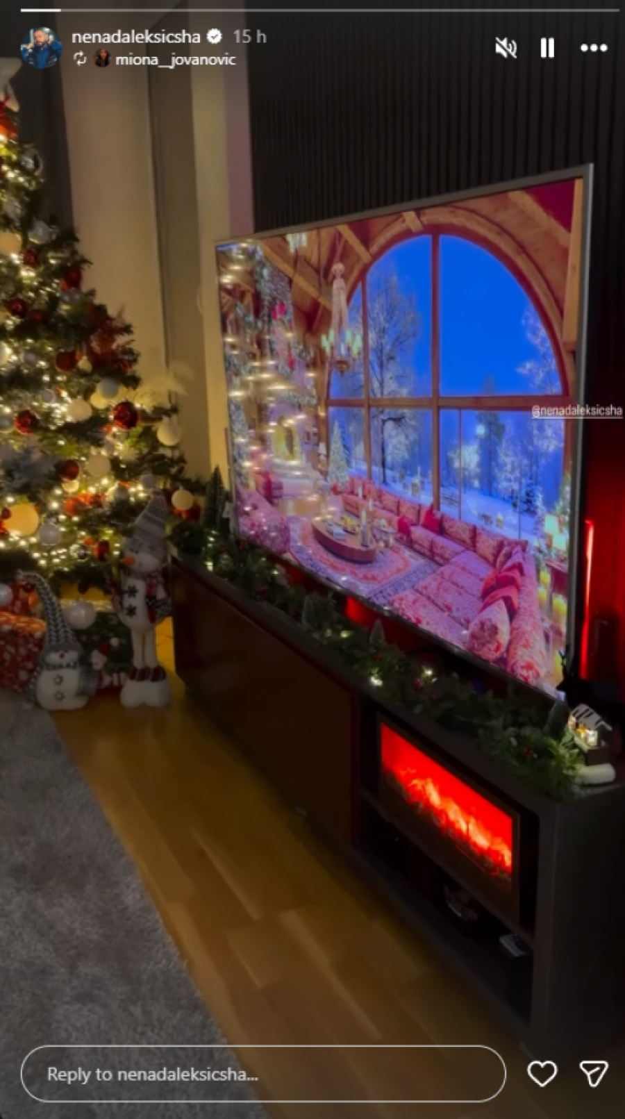 MIONA I ŠA OTVORILI VRATA PORODIČNOG DOMA: Pogledajte šta se dešava iza zidina u Zemunu! (FOTO)