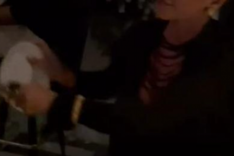 Marina Visković Instagram