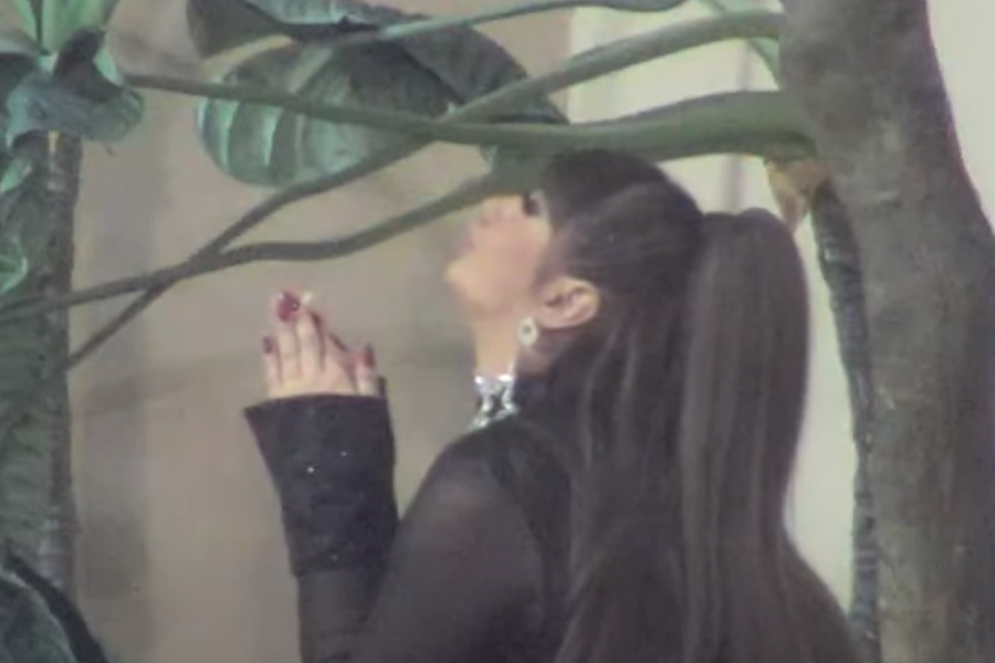 UMESTO MOMKA, POLJUBILA PATOS! Tradicionalni novogodišnji pad Miljane Kulić! (VIDEO)