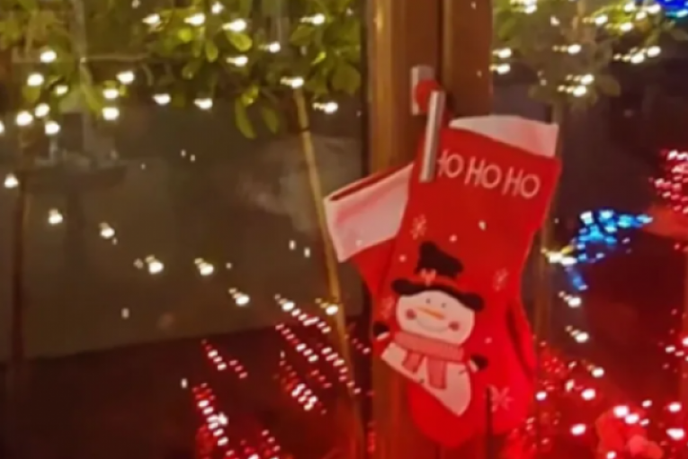 Milica Milša Instagram