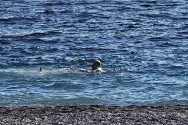 LJUDI TRLJALI OČI! Neverovatan prizor 1. januara u moru - da li najbolja novogodišnja fotografija stiže iz Crne Gore? (FOTO)