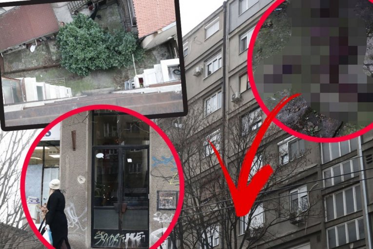"URLIKAO JE, LUPAO NA VRATA I VIKAO DA SE PREDOZIRALA!" Komšije progovorile za Republiku nakon tragedije u Cvijićevoj: Pao je na ogradu, lokva krvi je svuda okolo... (FOTO, VIDEO)