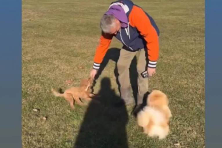 Čeda Jovanović i Aleksandar Kos