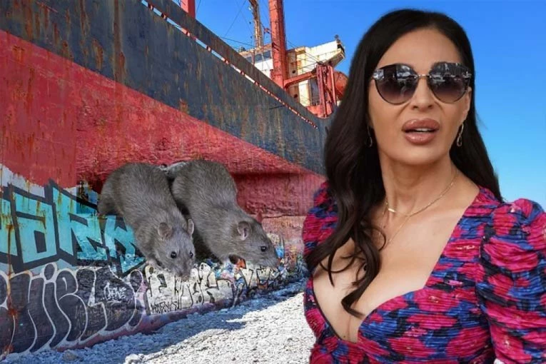 KO SU "PACOVI KOJI SU PRVI NAPUSTILI CECIN BROD"?! O Ražnatovićkinoj izjavi bruji CELA SRBIJA, svi se pitaju samo jedno!