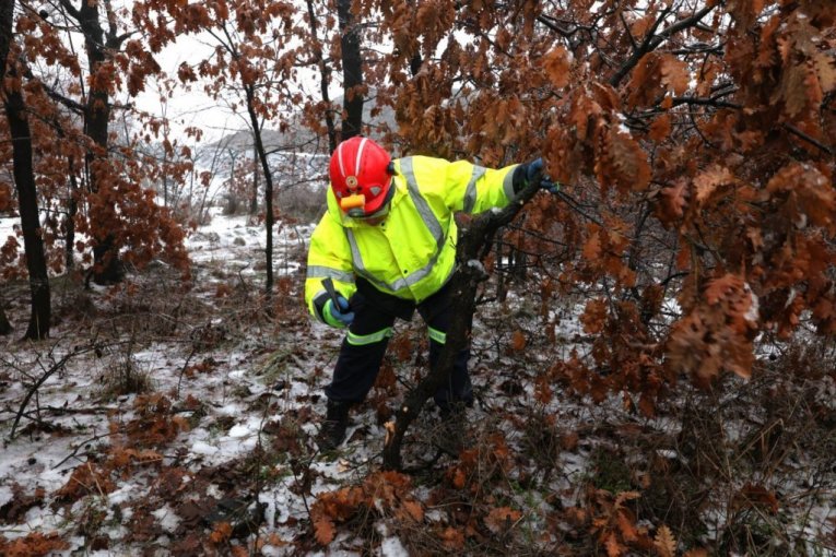Rudari rudnika Čukaru Peki doneli badnjak u rudarsku zgradu