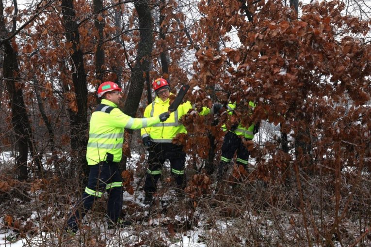 Rudari rudnika Čukaru Peki doneli badnjak u rudarsku zgradu
