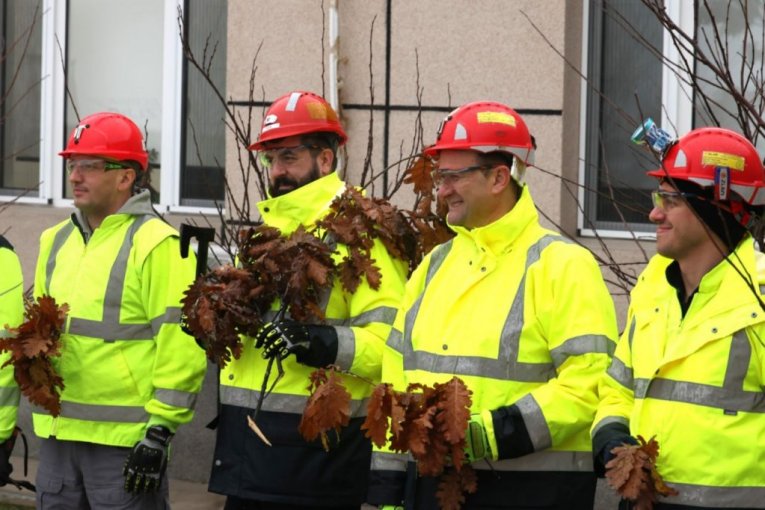 Rudari rudnika Čukaru Peki doneli badnjak u rudarsku zgradu