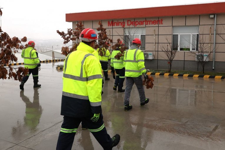 Rudari rudnika Čukaru Peki doneli badnjak u rudarsku zgradu