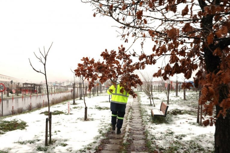 Rudari rudnika Čukaru Peki doneli badnjak u rudarsku zgradu