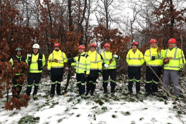 ČUVANJE VERE I TRADICIJE! Rudari doneli badnjak u duhu starih običaja!