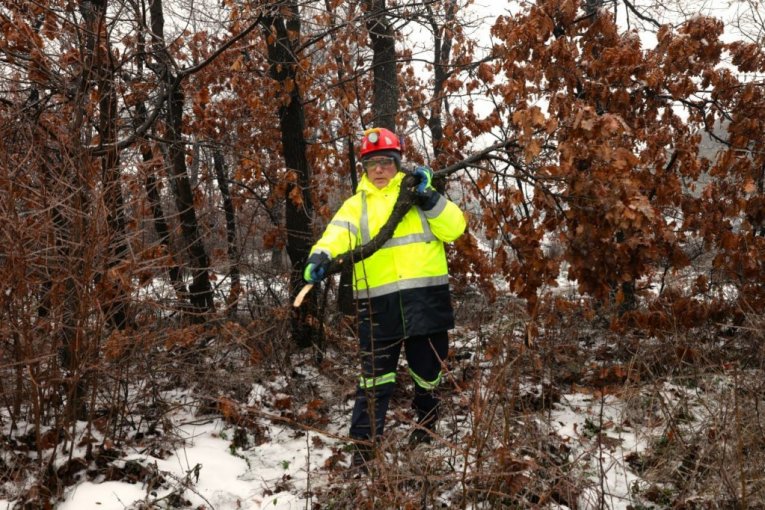 Rudari rudnika Čukaru Peki doneli badnjak u rudarsku zgradu