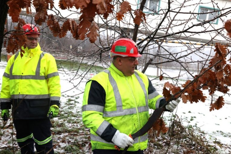 Rudari rudnika Čukaru Peki doneli badnjak u rudarsku zgradu