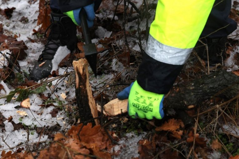 Rudari rudnika Čukaru Peki doneli badnjak u rudarsku zgradu