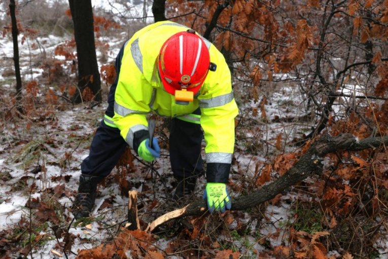 Rudari rudnika Čukaru Peki doneli badnjak u rudarsku zgradu