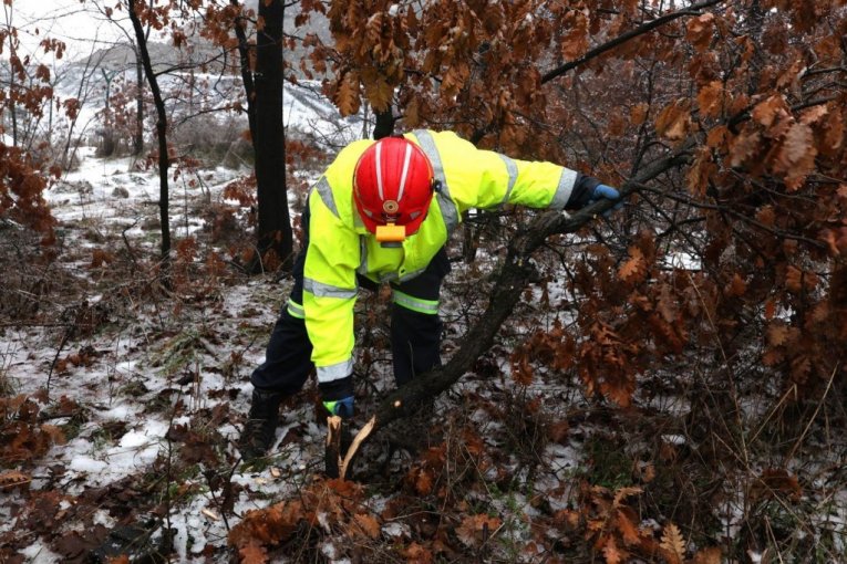 Rudari rudnika Čukaru Peki doneli badnjak u rudarsku zgradu