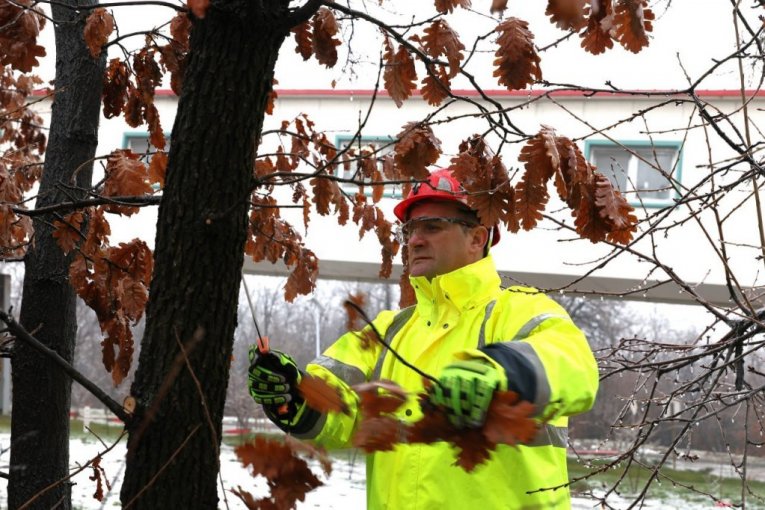 Rudari rudnika Čukaru Peki doneli badnjak u rudarsku zgradu