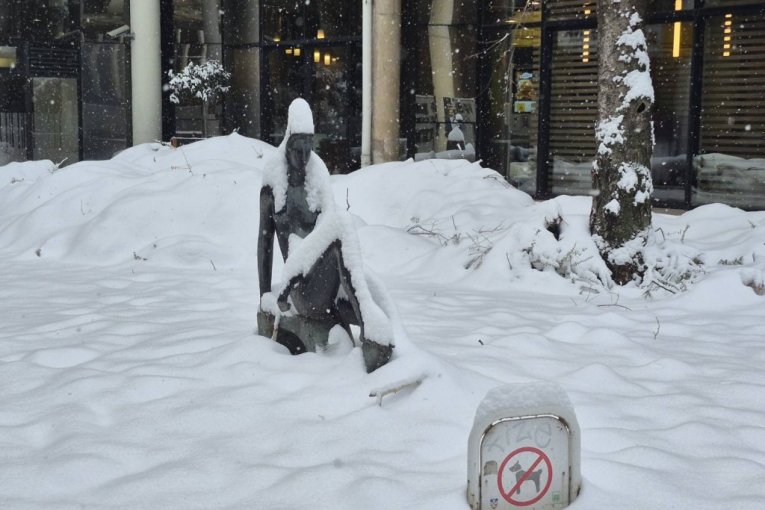 Prvi snežni talas u Beogradu je i zvanično završen