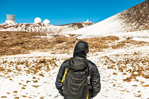 PRIZORI KAO SA DRUGE PLANETE: Tamo gde su svi navikli na 30 stepeni, sada je pao sneg! Prizori koji su obišli svet, 25 centimetara belog pokrivača prekrilo palme! (FOTO, VIDEO)