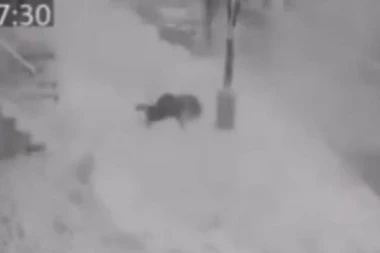 SPREMALA SE ZA FAKULTET I ŽIVOT: Ovo je devojka koju je ubio SNEG SA KROVA dok je hodala trotoarom (UZNEMIRUJUĆI SNIMAK)