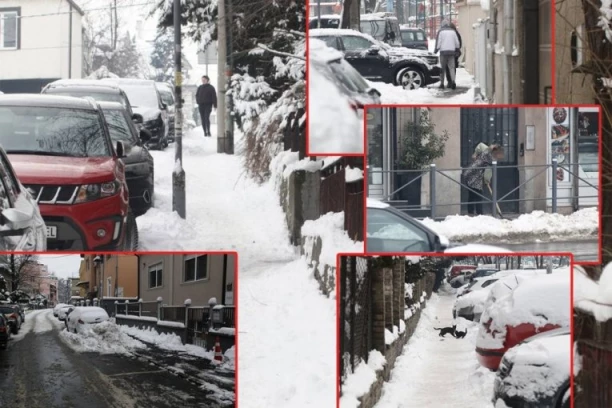 ŽALE SE NA DRŽAVU - A ULICE NIKAD PROHODNIJE! Da li BEOGRAĐANI zaista čiste ispred svojih domova - REPUBLIKA SE "ŠUNJA"!? (FOTO, VIDEO)