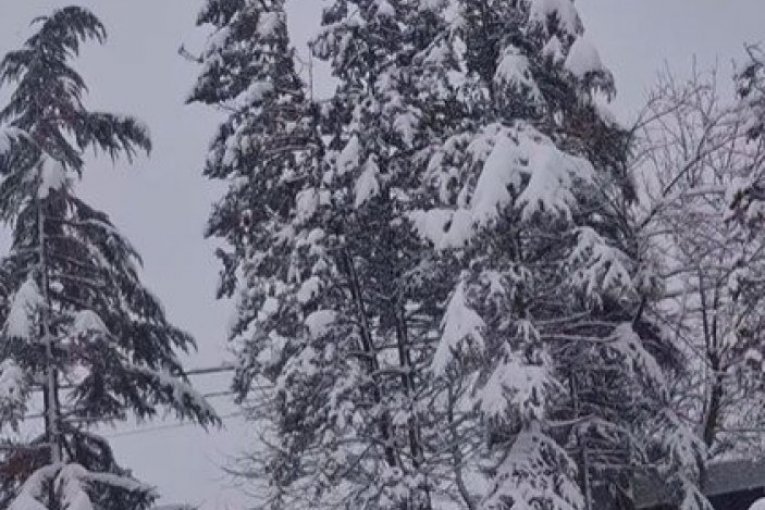 Maja Volk zavejana u selu Babe