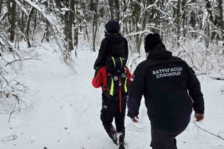 MAJKA I DETE SE IZGUBILI NA PLANINI! Drama na Fruškoj gori! Krenuli u šetnju, pa zalutali u snegu! (FOTO)