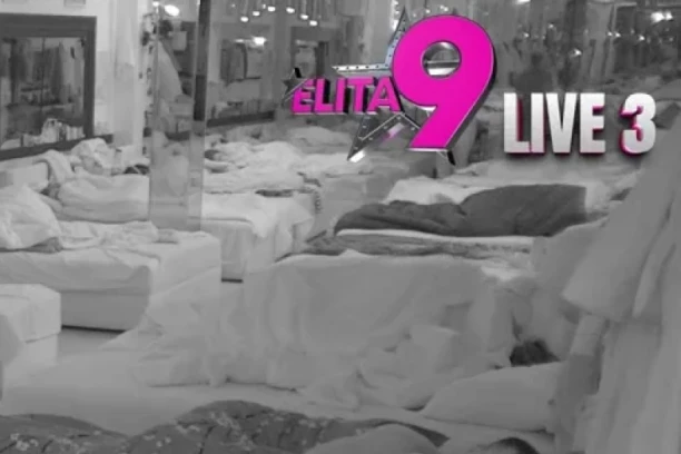 ŽIVOTINJSKO IŽIVLJAVANJE LUKE VUJOVIĆA! Proradio mu nagon nakon što ga je Anita PONIZILA - usnimljena divljačka vrela akcija!