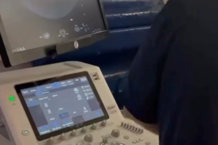 Objava Milice Mitrović