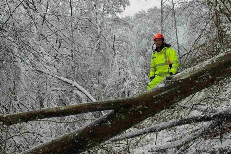 Dan bez isključenja struje