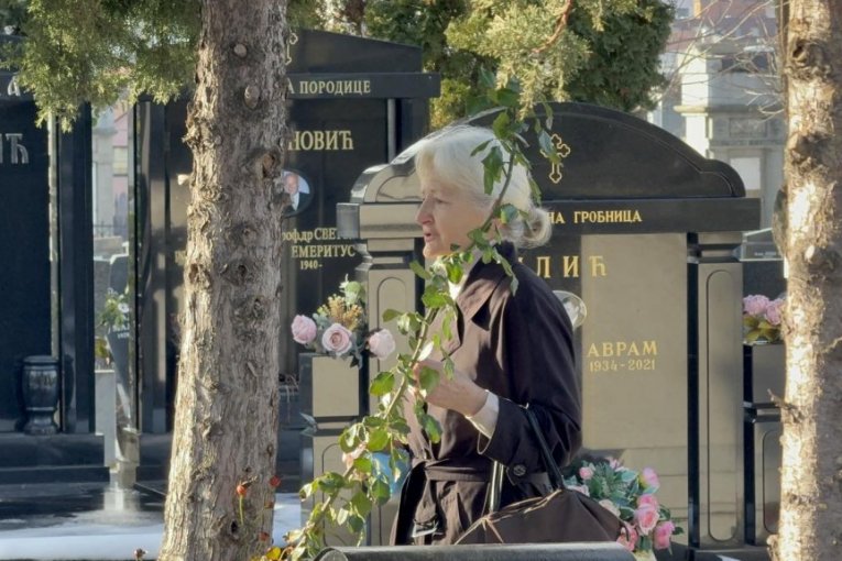 Željko Ražnatović Arkan, pomen