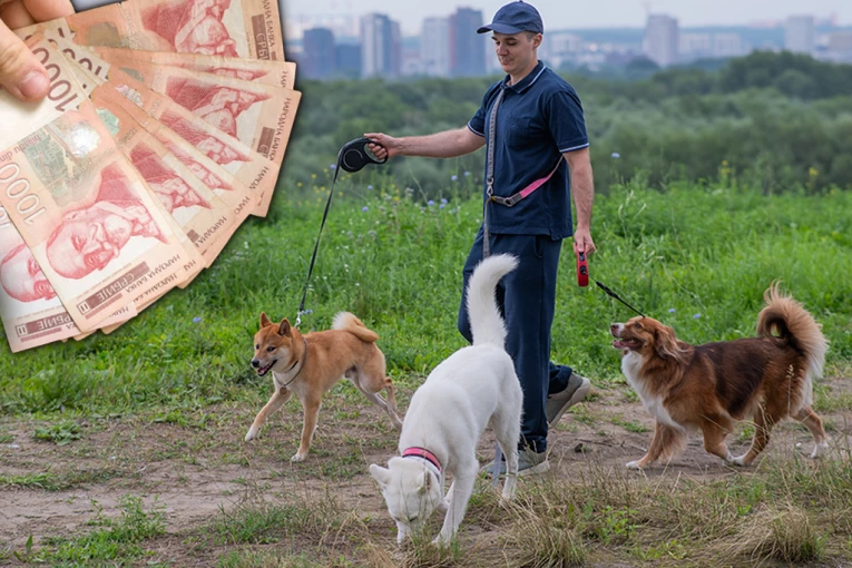 JEDAN SAT RADA DNEVNO MOŽE DA POKRIJE RAČUNE: Dodatni posao koji osvaja Srbiju!