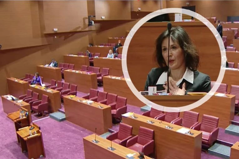 HRVATSKU POSLANICU UDARILA STRUJA U PARLAMENTU: Sve zabeležile kamere, samo je VRISNULA i počela da TRESE rukom (VIDEO)