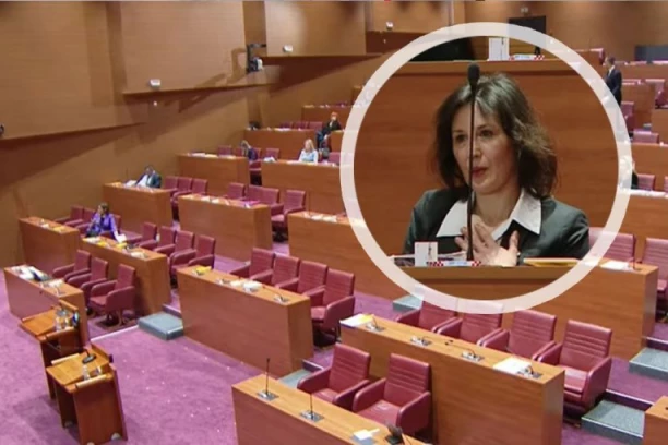 HRVATSKU POSLANICU UDARILA STRUJA U PARLAMENTU: Sve zabeležile kamere, samo je VRISNULA i počela da TRESE rukom (VIDEO)