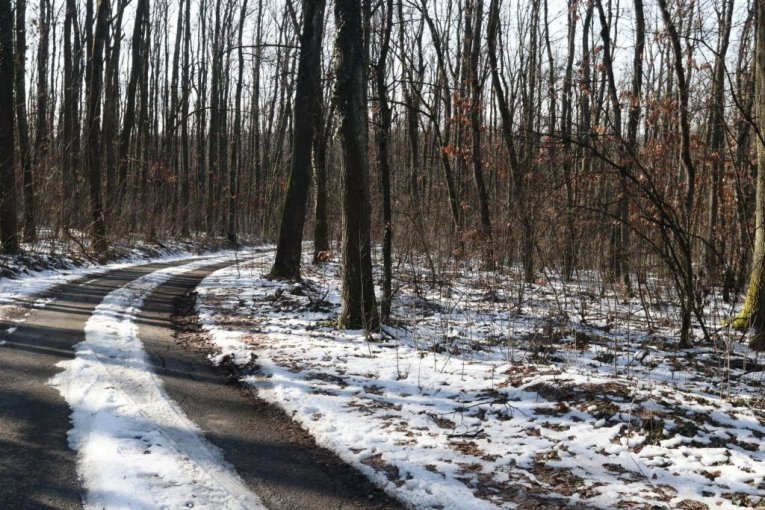Šuma u kojoj je ubijen Živko Bakić