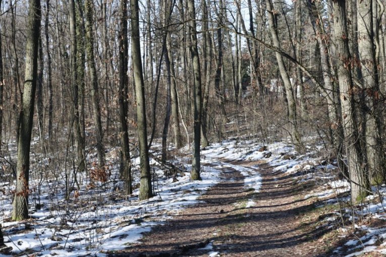 Šuma u kojoj je ubijen Živko Bakić