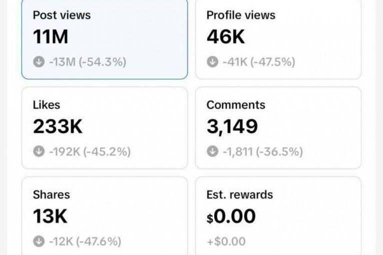 TikTok Republika profili