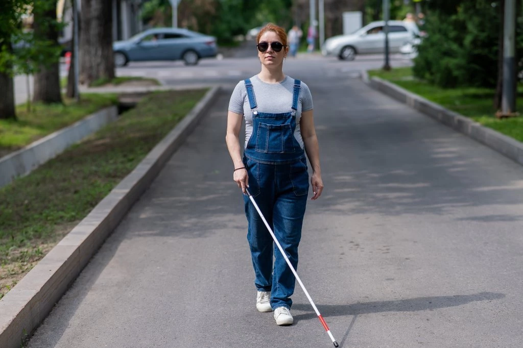 HOROR U AUTOBUSU 83! Slepu putnicu napao muškarac - vozač ništa nije preduzeo!