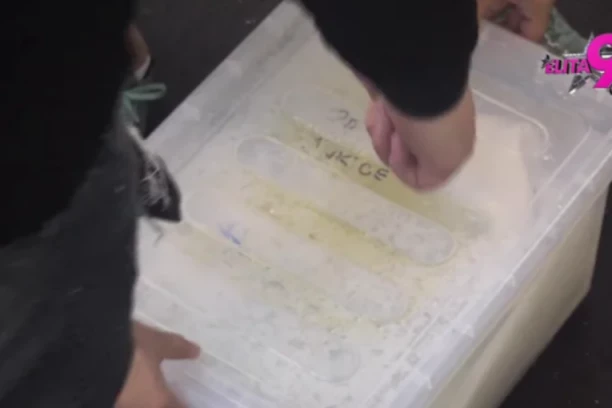 SPREMITE KESE ZA POVRAĆANJE: Zbog scene iz Elite javnost ZGROŽENA, pogledajte najgadniji prizor iz kuće! (FOTO)