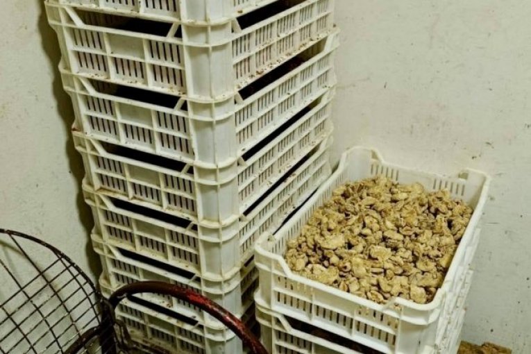 Meso sumnjivog porekla