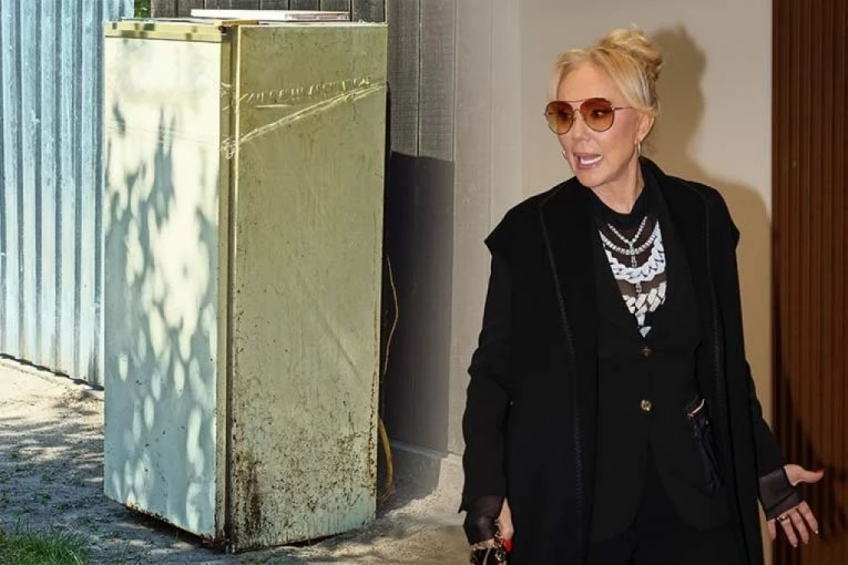 OVO SU DECA LEPE BRENE NAŠLA U FRIŽIDERU! Pevačica zatečena ŠOK-PRIZOROM bila van sebe tad!