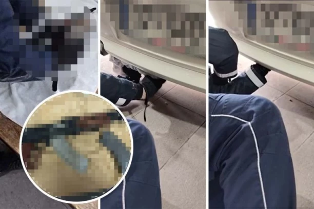 ORUŽJE SAKRIO U BMW! Uhapšen muškarac na Batrovcima - pogledajte šta je pokušao da preveze! (FOTO, VIDEO)