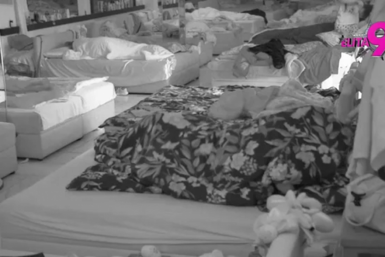 Akcija Mine i Viktora