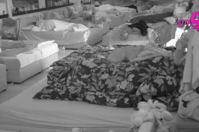 Akcija Mine i Viktora