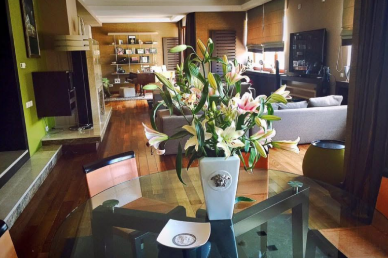 Karleuša se često fotografiše u ovom stanu