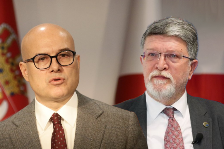 „PICULINA POLITIKA JE DEGRADACIJA, DEHUMANIZACIJA I DESTRUKCIJA“! Vučević brutalno raskrinkao namere izvestioca Evropskog parlamenta za Srbiju: „Bez nas nema stabilnog Balkana“!