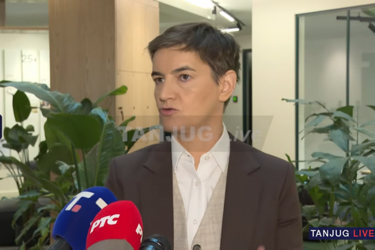 Ana Brnabić u Talinu