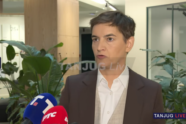 Ana Brnabić u Talinu