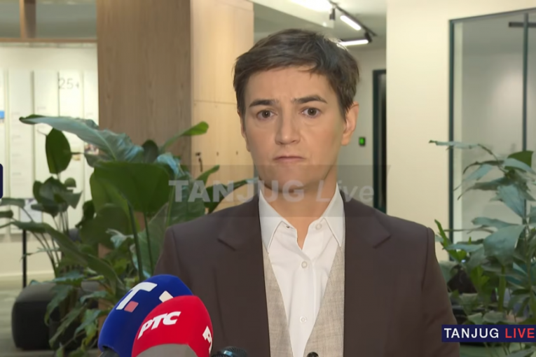 Ana Brnabić u Talinu